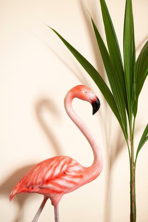 Flamingo Apartment 马拉加 外观 照片